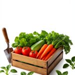 Urban Gardening for Beginners: A 2nd Edition Guide-0
