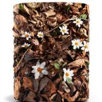 Kindle eBook by GreenThumb – Landscape & Wild Plant Gardening-0