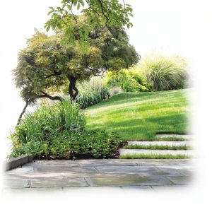 Feng Shui Garden eBook by St Lynns Press with XRay and Word Wise-0